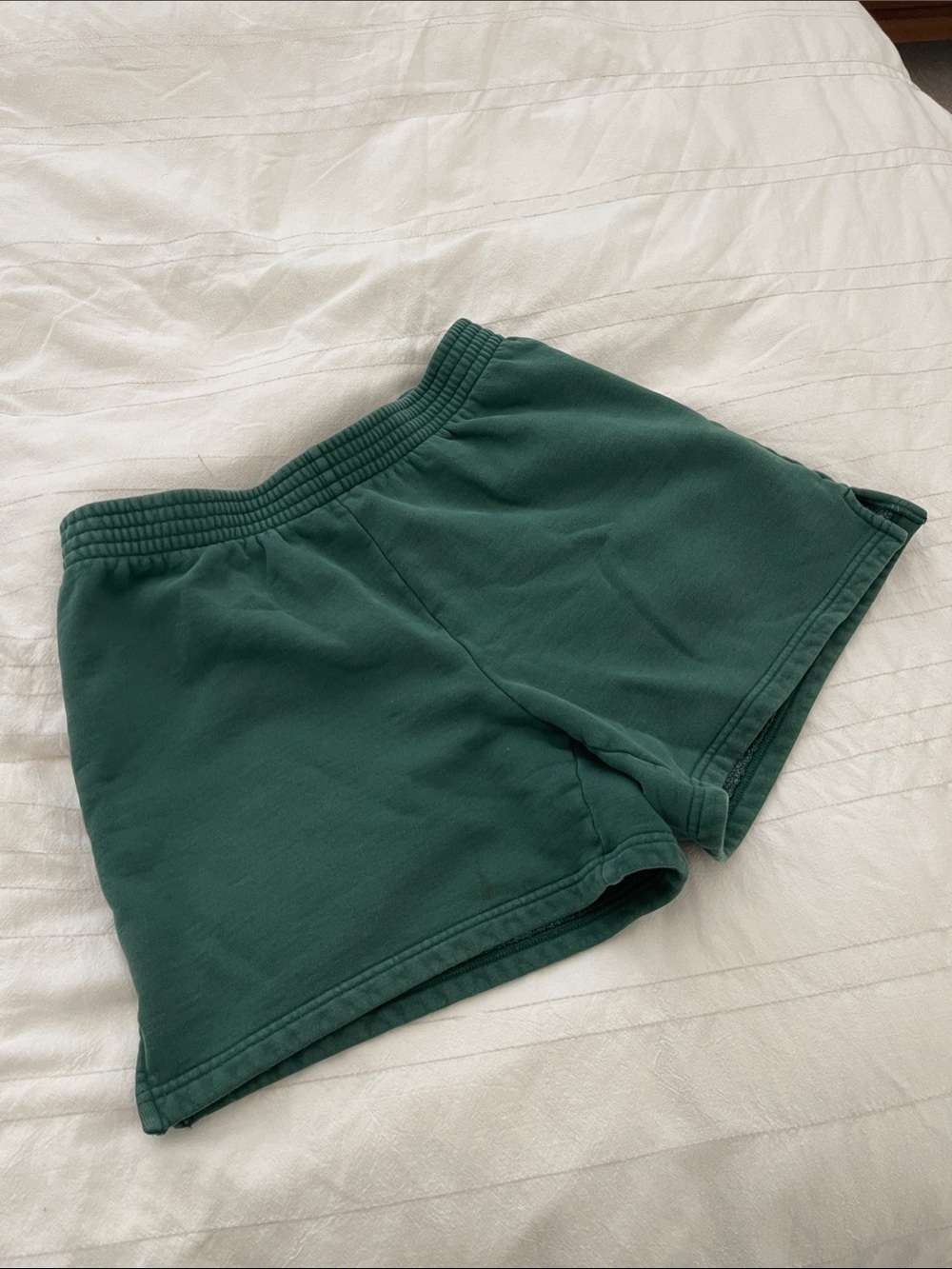 Aritzia COZY FLEECE PERFECT 5" SWEATSHORT